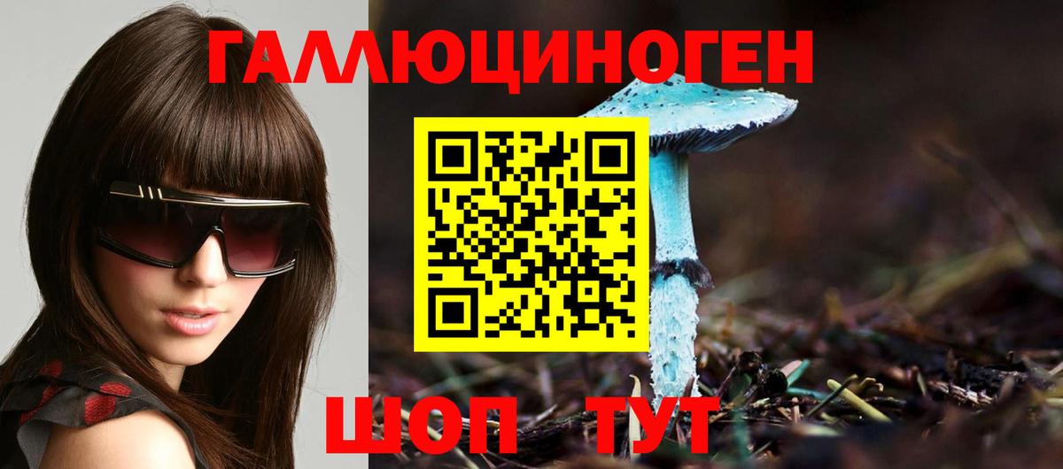 Славянск-на-Кубани  Псилоцибиновые грибы MAGIC MUSHROOMS  Галлюциногенные грибы Cubensis  Вход с VPN 